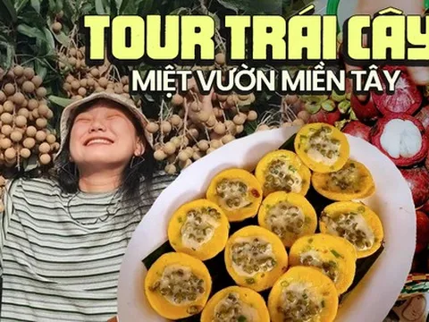 Có đi miền Tây, nhớ ghé các vườn trái cây nổi tiếng để tự tay hái và thưởng thức trái ngon ngay tại chỗ