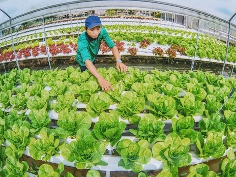 Thúc đẩy mối liên kết giữa nông dân và doanh nghiệp tiêu thụ