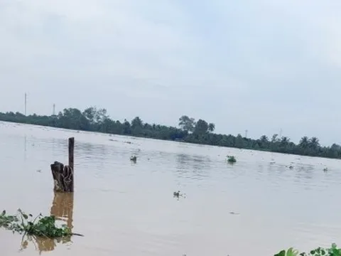 Nguyên quyền Giám đốc Bệnh viện Phụ sản Tiền Giang nhảy cầu tự tử