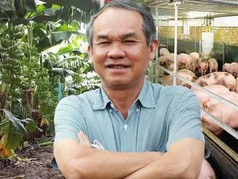 Giá chuối không cao như kỳ vọng, giá heo giảm, HAGL vẫn báo lãi 113 tỷ trong tháng 9