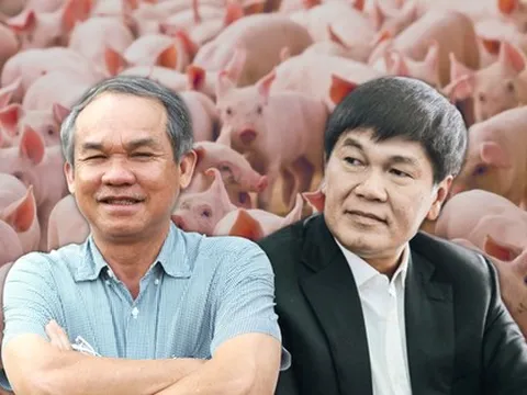 Hành trình nuôi heo của tỷ phú Trần Đình Long và bầu Đức: Đâu là khác biệt giữa "xe lu" và ông bầu hay phát ngôn "gây bão"?