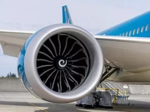 Thiệt hại "khủng" do máy bay va phải chim