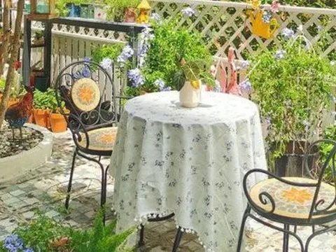 Biến mảnh sân cỏ mọc um tùm thành khu vườn đa sắc