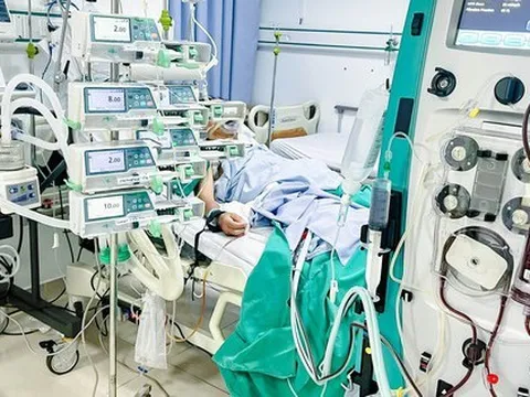 Hành trình 52 ngày cứu sống bệnh nhân mắc ung thư bị sốc nhiễm khuẩn, suy đa tạng kéo dài