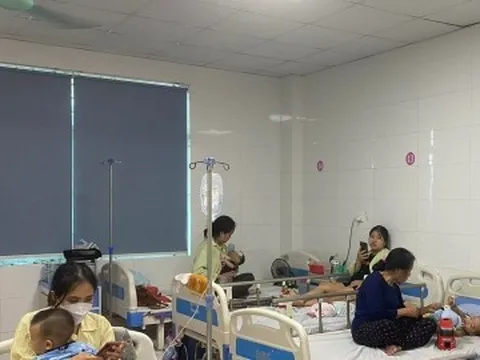 Hà Nội có hơn 170 ổ dịch sốt xuất huyết đang hoạt động