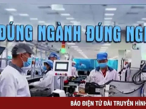 Sinh viên ra trường khó làm đúng nghề, doanh nghiệp lại thiếu lao động trầm trọng
