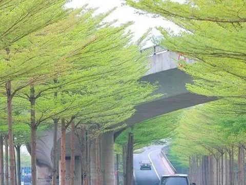 Hà Nội đưa Gia Lâm, Đông Anh lên quận vào năm 2023