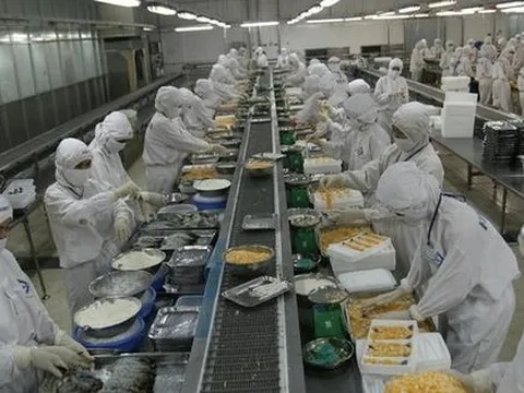 Một công ty thuỷ sản mở thủ tục phá sản, âm vốn hơn 1.000 tỷ đồng