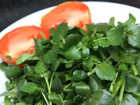 Những công dụng tuyệt vời của rau cải xoong