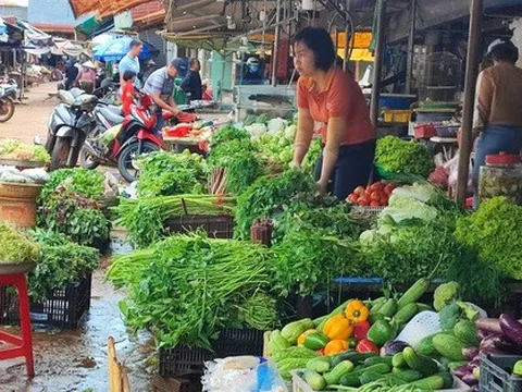 Không lo tăng giá, thiếu hụt hàng dịp Tết Quý Mão