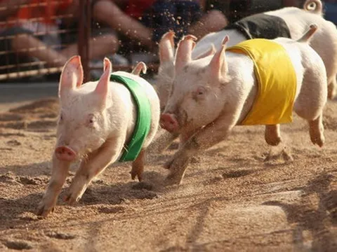 BAF ngược dòng tăng trần nhiều phiên: Loạt lãnh đạo cấp cao cùng bán ra hàng chục triệu cổ phiếu, “bỏ túi” cả trăm tỷ đồng