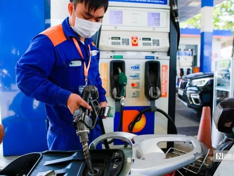 Thanh tra 15 doanh nghiệp đầu mối và 2 nhà máy xăng dầu