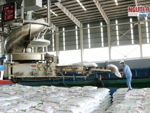 Luật thuế 71 níu chân ngành phân bón