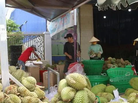 Làm rõ vụ mã vùng trồng sầu riêng của người dân biến thành của doanh nghiệp