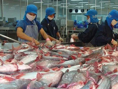 Cadovimex, Bianfishco, Hùng Vương...: "Phất" nhanh nhờ xuất khẩu tôm cá, đứng đầu ngành rồi nhanh chóng lụn bại, lỗ cả nghìn tỷ, thậm chí nộp đơn phá sản