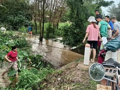 Lũ tràn vào, vỡ ao, hơn 32 tấn cá của người dân bị cuốn trôi