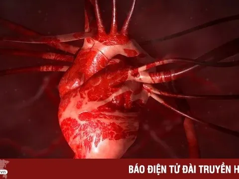 Hormone 'tình yêu' oxytocin thực sự có thể hàn gắn trái tim tan vỡ