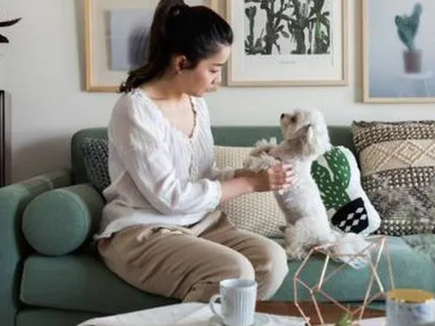 Người phụ nữ đến Nhật Bản để lấy cảm hứng thiết kế ngôi nhà cho mình