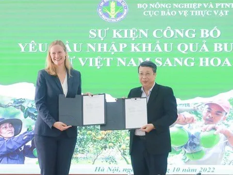 Trái bưởi Việt Nam muốn xuất sang Mỹ cần đáp ứng yêu cầu gì?