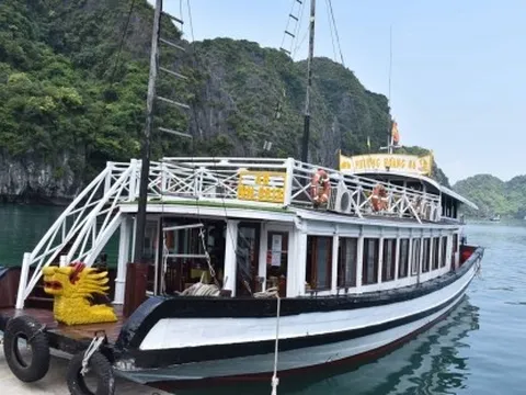 Tập đoàn Tuần Châu rót 5.000 tỷ đồng xây 'Thiên đường đêm Hạ Long'