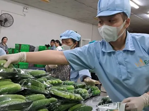 Chung tay nâng chất thực phẩm Việt Nam