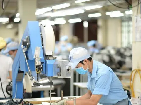 Giá USD tăng: Doanh nghiệp nên đa dạng hóa đồng tiền thanh toán