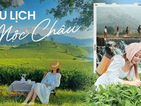 Lên kế hoạch đi Mộc Châu ngắm thung lũng hoa cải với chi phí chỉ 3,5 triệu đồng