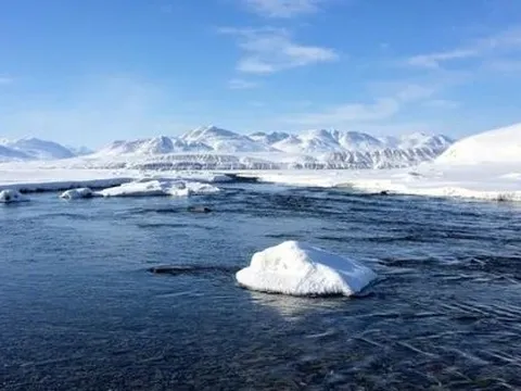 Khám phá sốc ở Bắc Cực chỉ ra khả năng về đại dịch tiếp theo