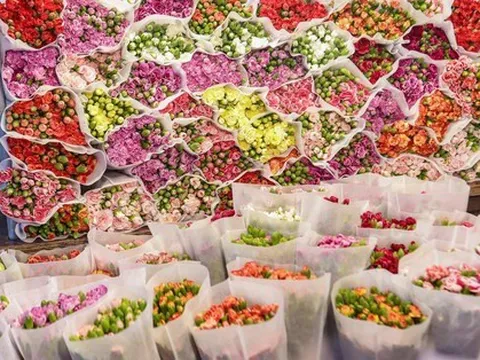 Chợ hoa đêm lớn nhất Hà Nội đông nghẹt khách trước dịp 20/10