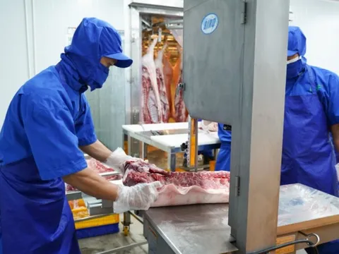 BaF chất lượng thịt ngon vượt trội nhờ vào công thức TACN đặc biệt