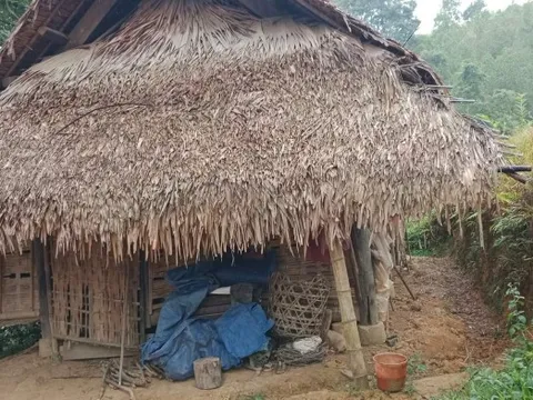 Nhặt bọc trứng cóc về ăn, 3 cha con nhập viện cấp cứu