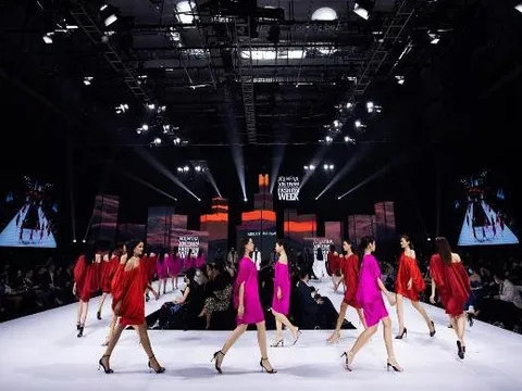 Multimedia JSC được vinh danh tại Asian Academy Creative Awards