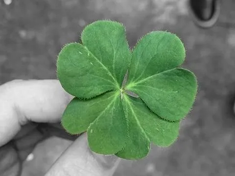 VinaCapital: Định giá cổ phiếu ngân hàng Việt Nam đang rẻ