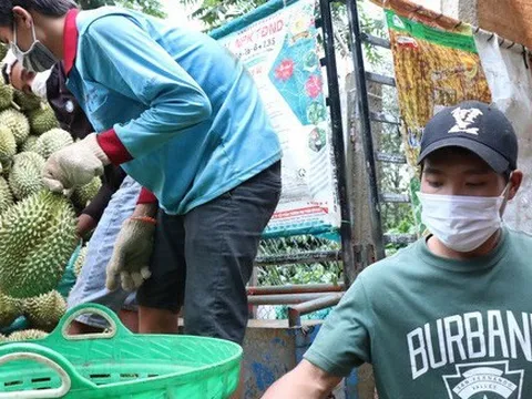 Nhiều trái cây Việt được cấp “visa” vào thị trường lớn