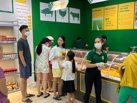 Heo ăn chuối Bapi của Hoàng Anh Gia Lai “cháy hàng” chỉ sau 3h trong ngày đầu “đổ bộ” miền Bắc