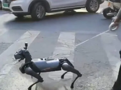 Thú vui mới của người Trung Quốc: nuôi chó robot làm cảnh