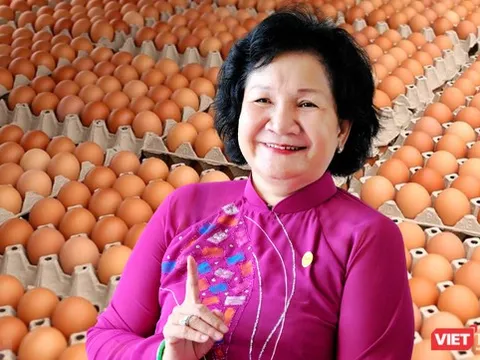 DNSE - cổ đông ít biết của 'trùm trứng' Ba Huân