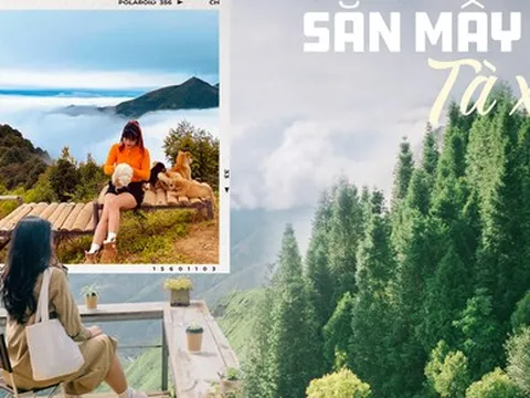 Lập kế hoạch đi 'săn mây' Tà Xùa với chi phí chỉ khoảng 1 triệu đồng/người