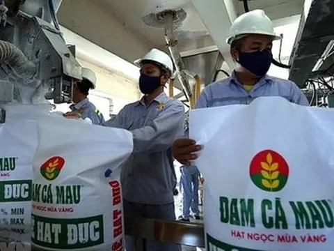 Đạm Cà Mau (DCM): Lãi 9 tháng gấp 4 lần cùng kỳ lên 3.272 tỷ nhưng lợi nhuận quý 3 sụt giảm sâu so với các quý đầu năm