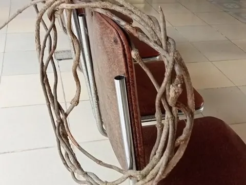 7 người nguy kịch vì uống nước có chất độc: Đã xác định nguyên nhân