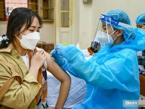 Ngày 24/10, ghi nhận 546 ca Covid-19 mới