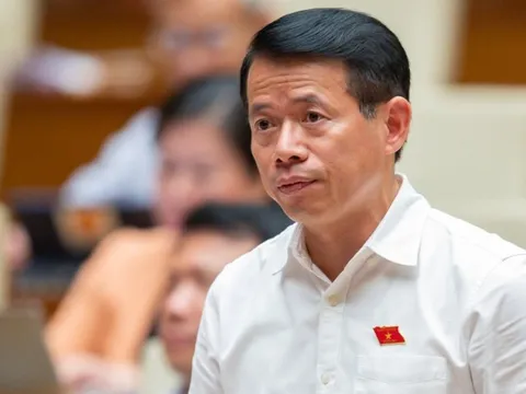 Nguy cơ thất thu hàng nghìn tỷ nếu bỏ thanh tra thuế, hải quan