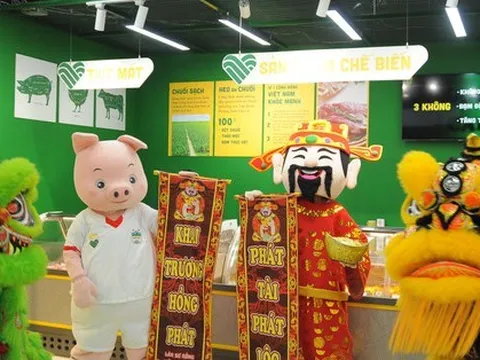 Thịt heo ăn chuối BAPI của bầu Đức đã có mặt ở Hà Nội