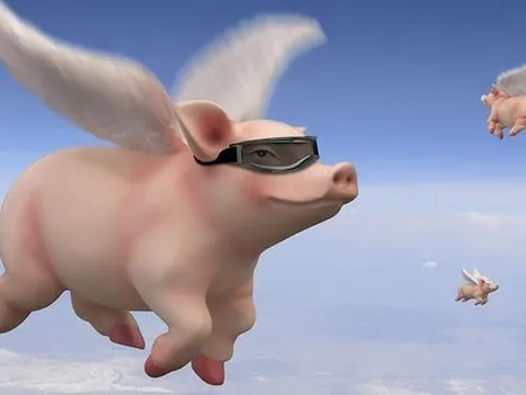 HAG – BAF: Bộ đôi Heo ăn chay – Heo ăn chuối ngược dòng tăng giá trong phiên sàn la liệt