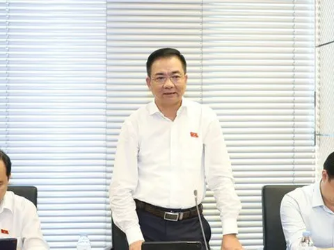 7 thủ đoạn của tội phạm rửa tiền, điểm tên Phan Sào Nam