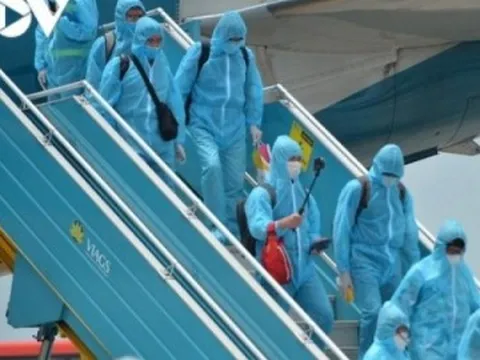 Bộ Công an yêu cầu Hà Nội cung cấp tài liệu vụ "chuyến bay giải cứu"