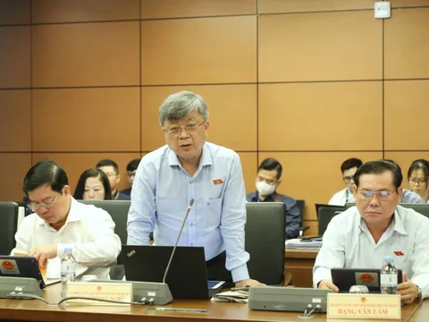 Vợ chồng đấu giá biển số đẹp 5 tỉ đồng, ly hôn chia tài sản thế nào?