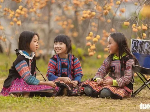 Lên Mộc Châu check-in vườn hồng cuối thu