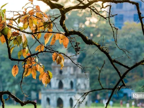 Ngắm cảnh sắc Hà Nội ngày cuối thu