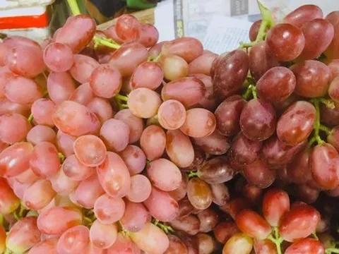 Nho sữa Trung Quốc giá siêu rẻ tràn ngập các chợ